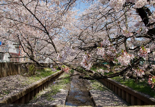 04.08 川崎