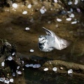 201004081157-DSC06694.jpg