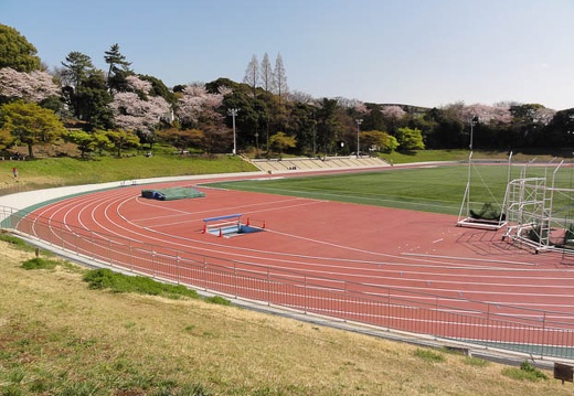201004081359-DSC00420.jpg