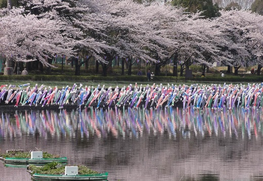 04.09 館林市つつじが丘公園