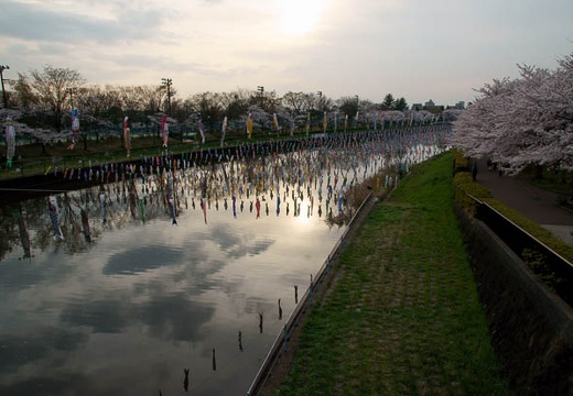 201004091702-DSC07488.jpg