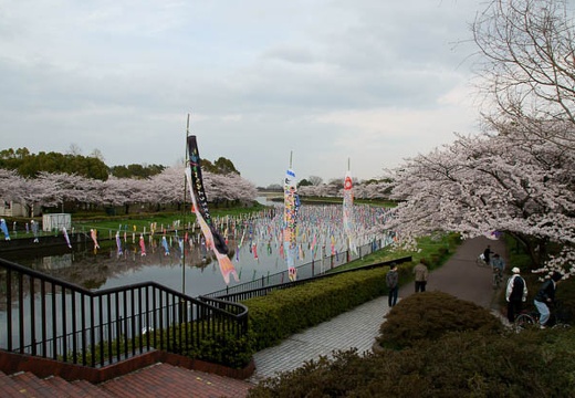 201004091705-DSC07495.jpg