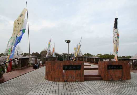 201004091705-DSC07496.jpg