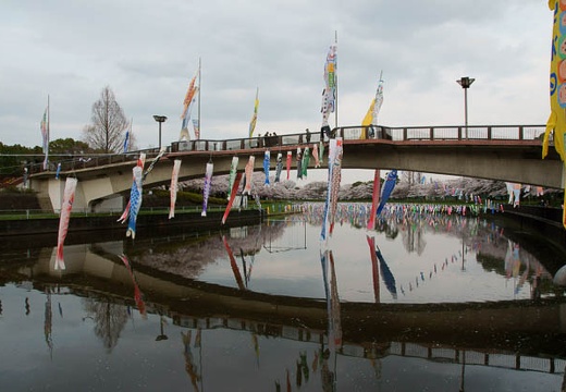 201004091707-DSC07500.jpg