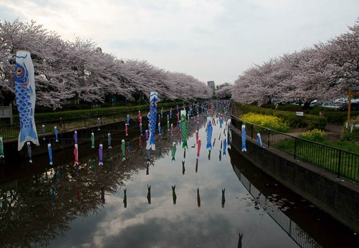201004091715-DSC07506.jpg