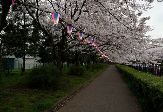 201004091754-DSC07524.jpg