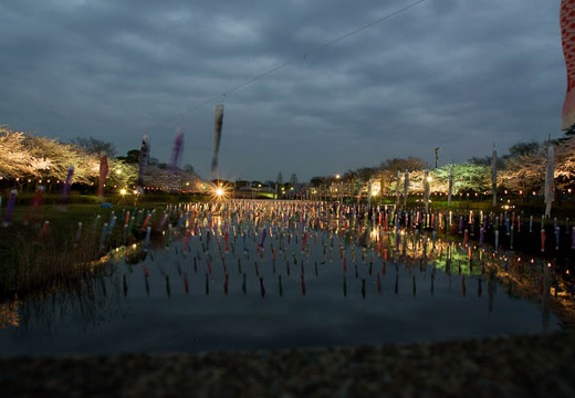 201004091825-DSC07529.jpg