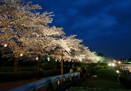201004091834-DSC07545.jpg