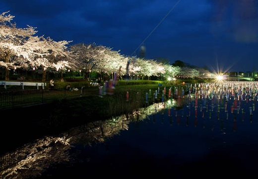 201004091836-DSC07549.jpg