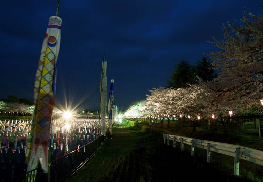 201004091841-DSC07557.jpg
