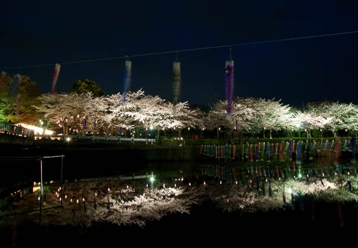 201004091844-DSC07562.jpg