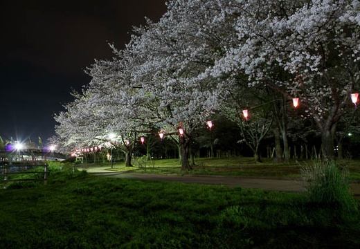 201004091953-DSC07634.jpg