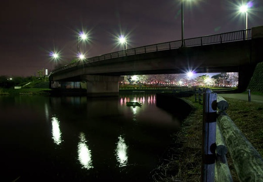 201004092002-DSC07643.jpg