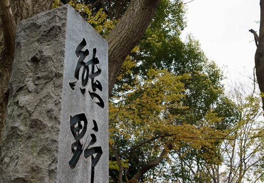 201004101348-DSC07723.jpg