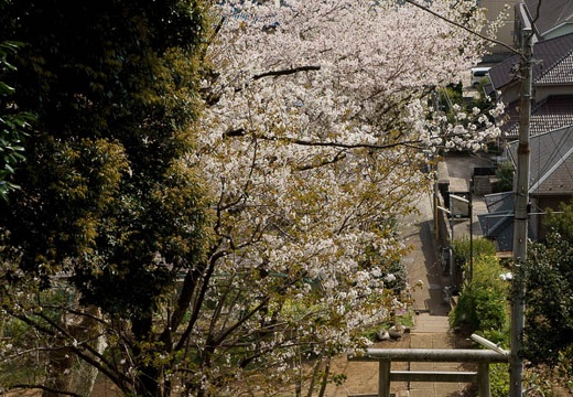 201004101414-DSC07785.jpg