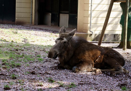 201004101451-DSC07869.jpg