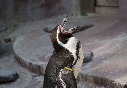 201004101459-DSC07900.jpg