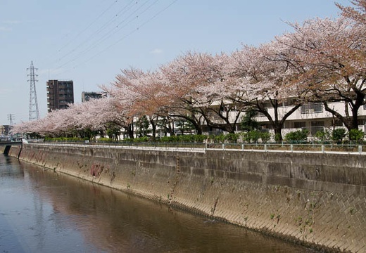 201004111247-DSC08136.jpg
