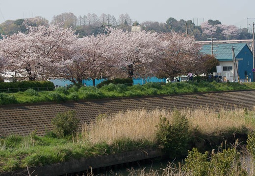 201004111431-DSC08371.jpg