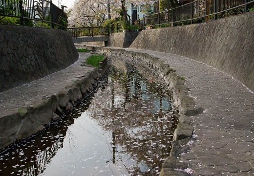 201004111619-DSC08536.jpg
