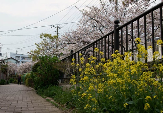 201004111636-DSC08583.jpg