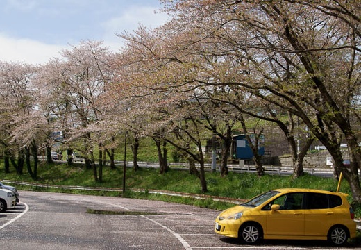 201004131009-DSC08616.jpg
