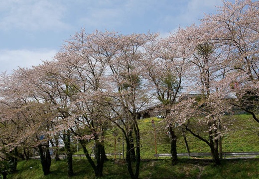 201004131011-DSC08618.jpg