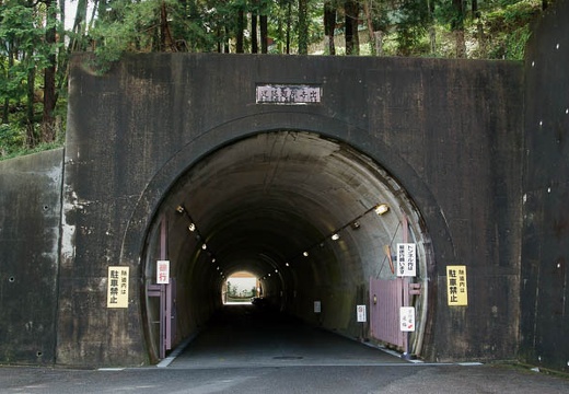 201004131012-DSC08619.jpg