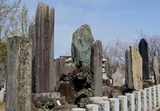 201004131013-DSC08622.jpg
