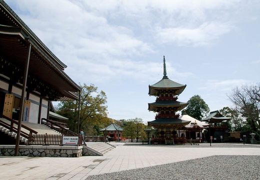 201004131029-DSC08651.jpg