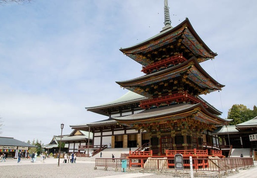 201004131032-DSC08657.jpg