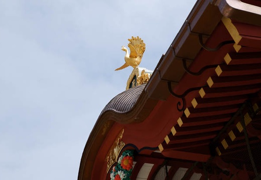 201004131032-DSC08659.jpg