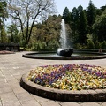 201004131120-DSC08802.jpg