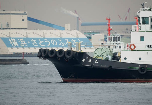 201004141440-DSC09423.jpg