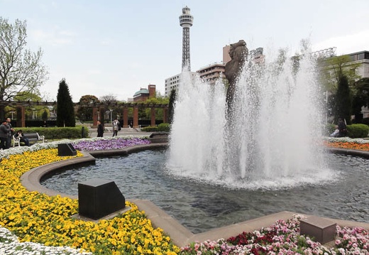201004141456-DSC00502.jpg