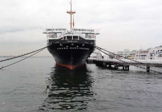 201004141459-DSC00504.jpg