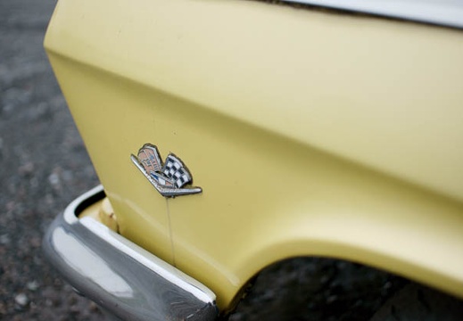 201004161343-DSC03528.jpg