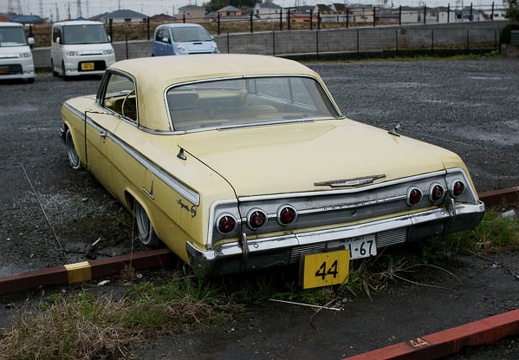 201004161343-DSC03529.jpg