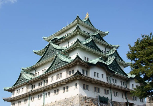 201004171508-DSC09687.jpg