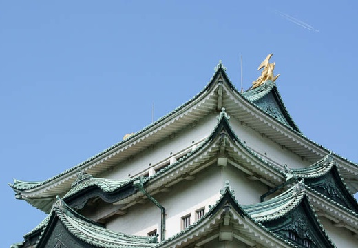 201004171508-DSC09688.jpg