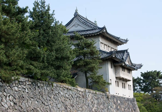 201004171509-DSC09691.jpg