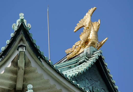 201004171509-DSC09692.jpg