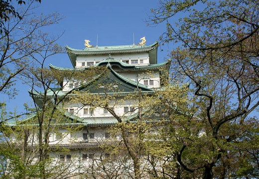 201004171514-DSC09702.jpg