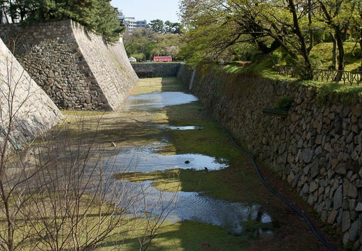 201004171524-DSC09731.jpg