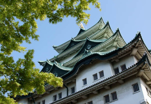201004171525-DSC09734.jpg