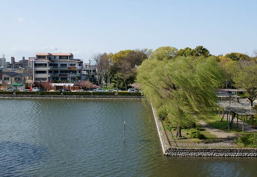 201004171528-DSC09742.jpg