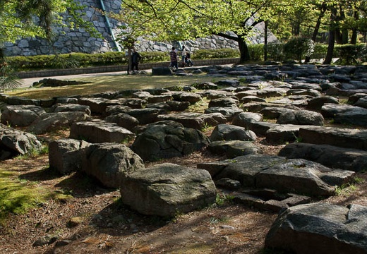201004171529-DSC09743.jpg