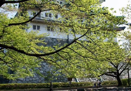 201004171529-DSC09744.jpg