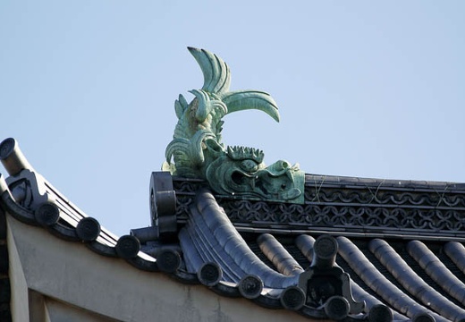201004171531-DSC09746.jpg