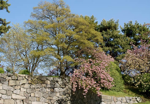 201004171536-DSC09758.jpg